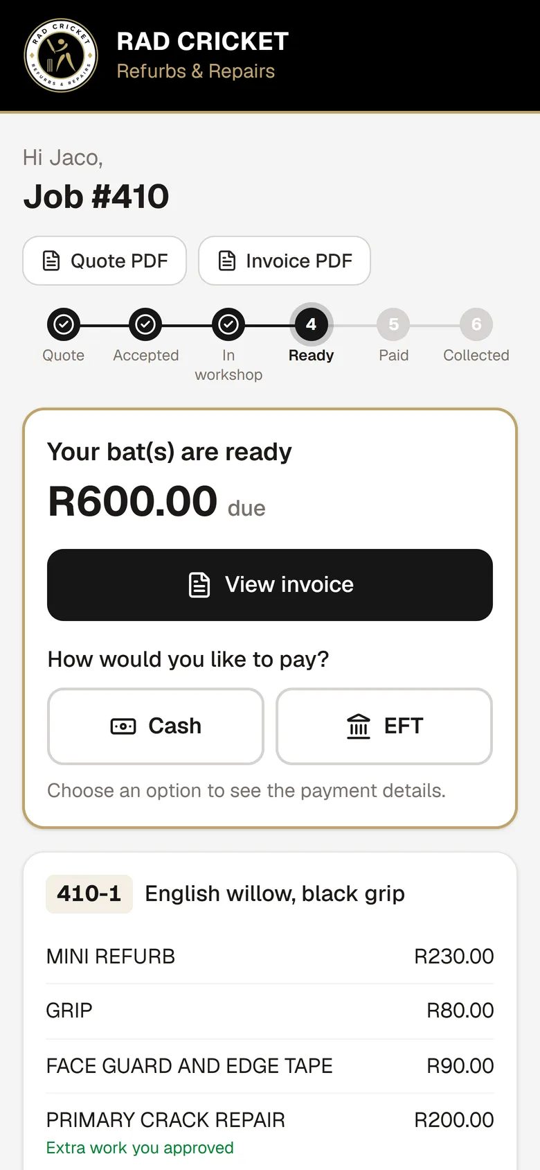 RAD Cricket client page showing the amount due and payment options